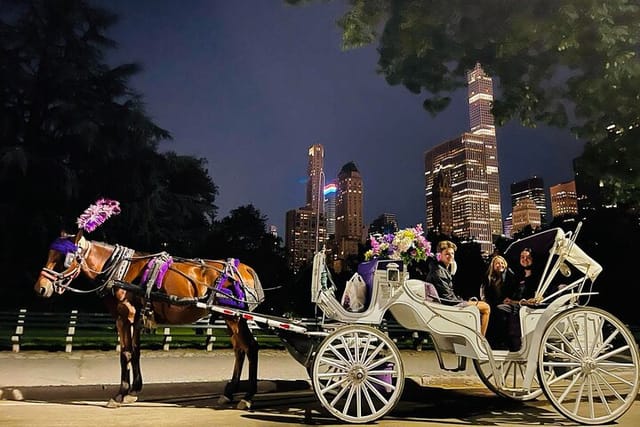 Magical Moonlight Ride in Central Park!